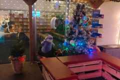 IMG-20241211-WA0011
