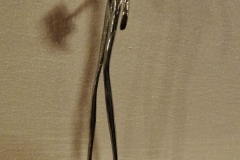 dsc00699