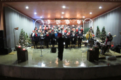 7 December 2012  Koor Ap-Art zingt kerst liederen