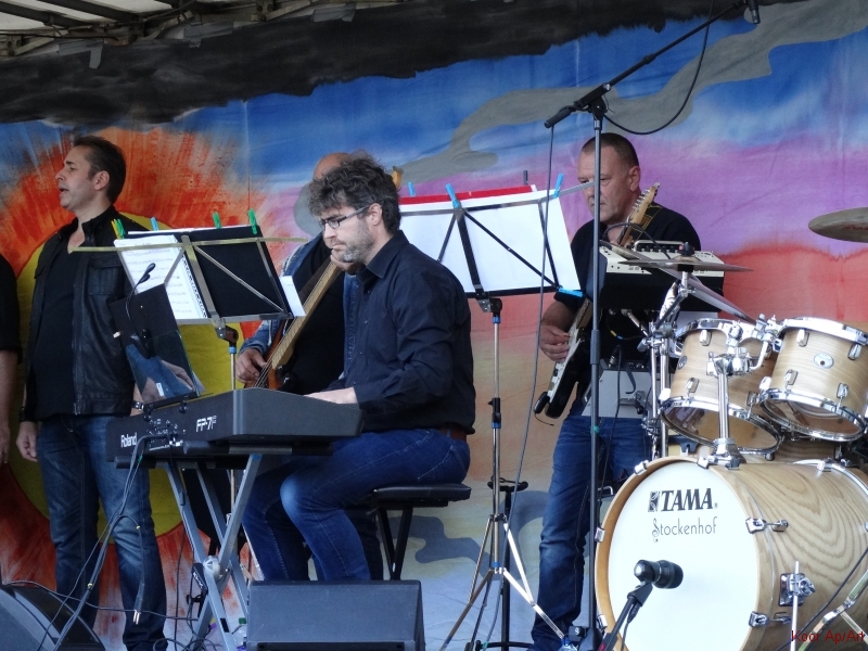 concert september 2015 (20)