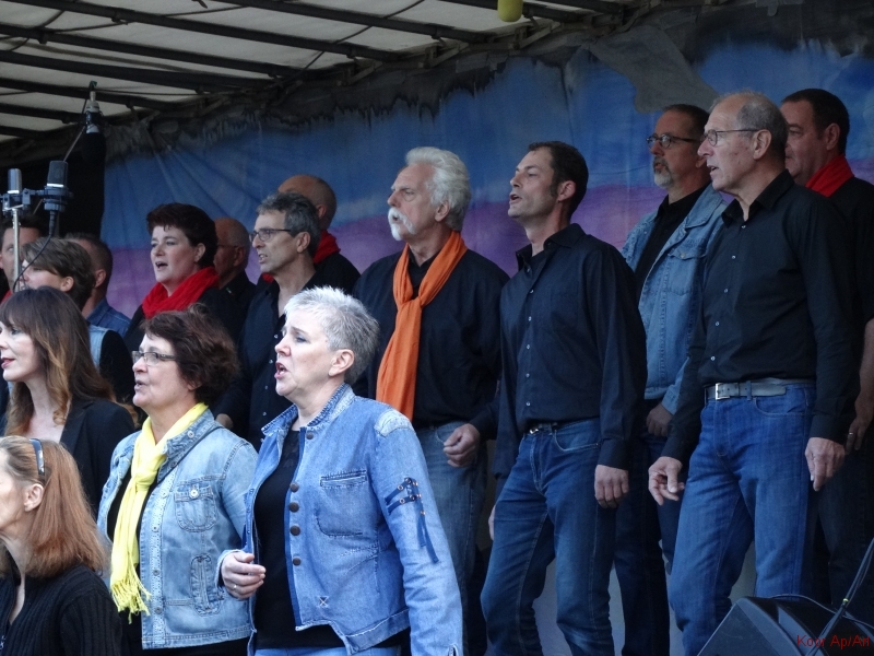 concert september 2015 (24)