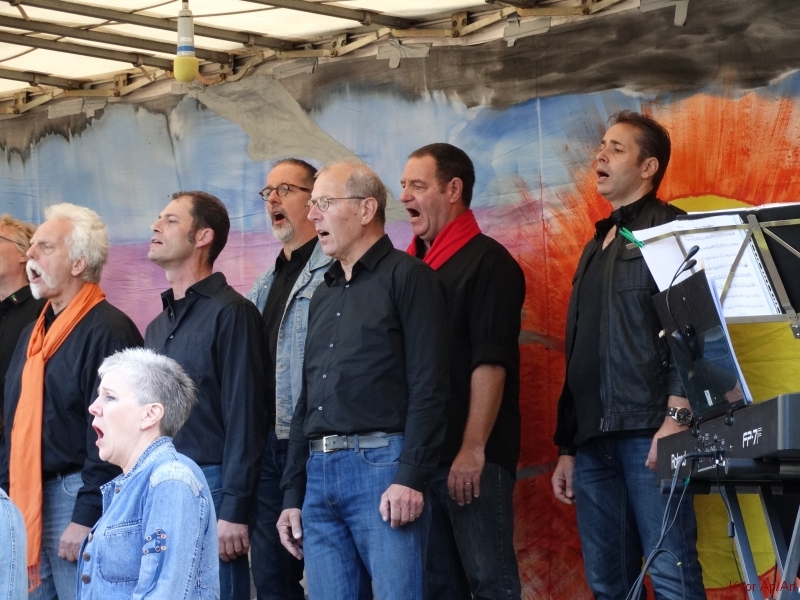 concert september 2015 (40)