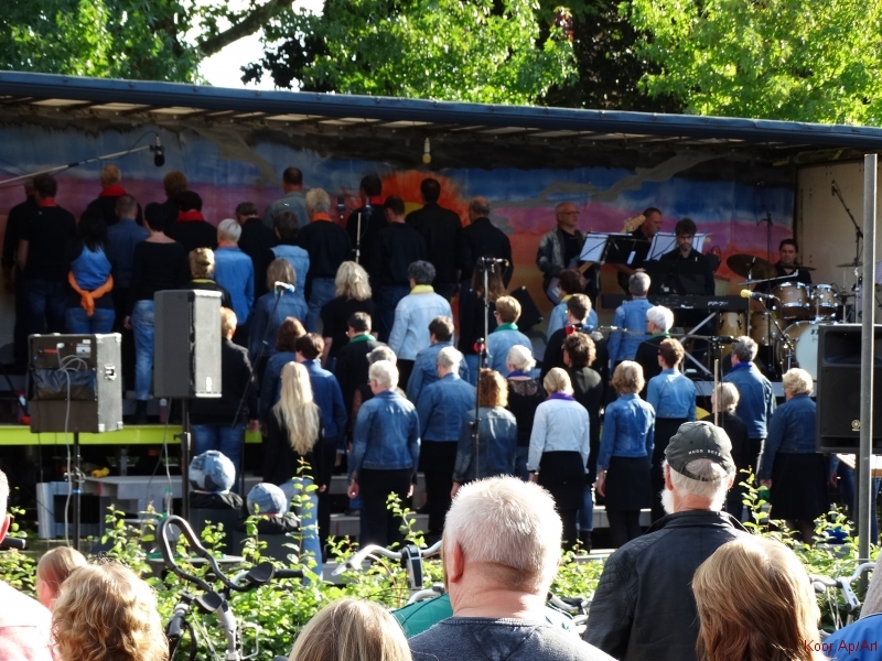 concert september 2015 (42)