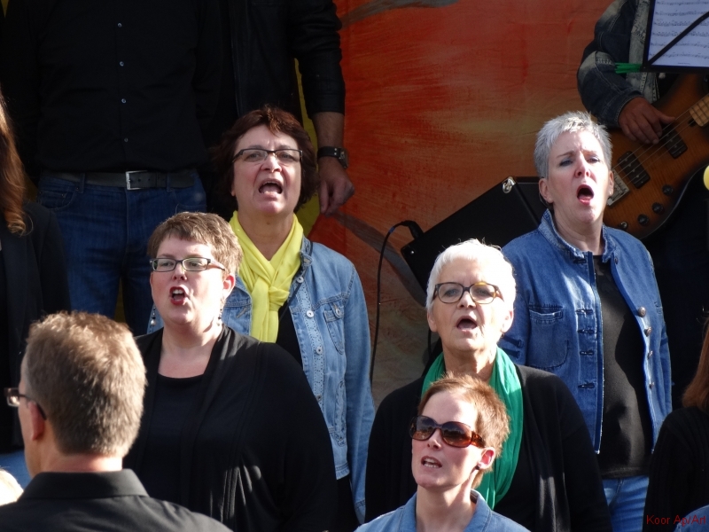 concert september 2015 (50)