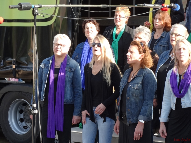 concert september 2015 (58)