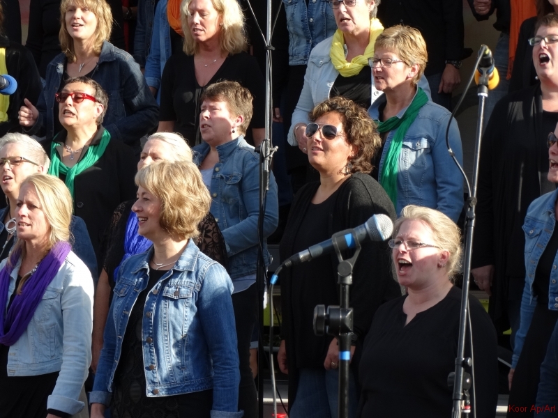 concert september 2015 (59)