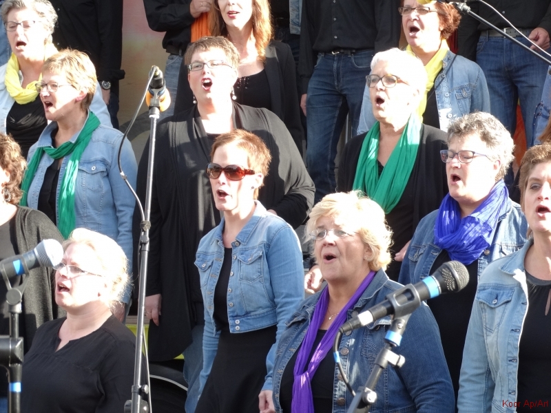 concert september 2015 (60)
