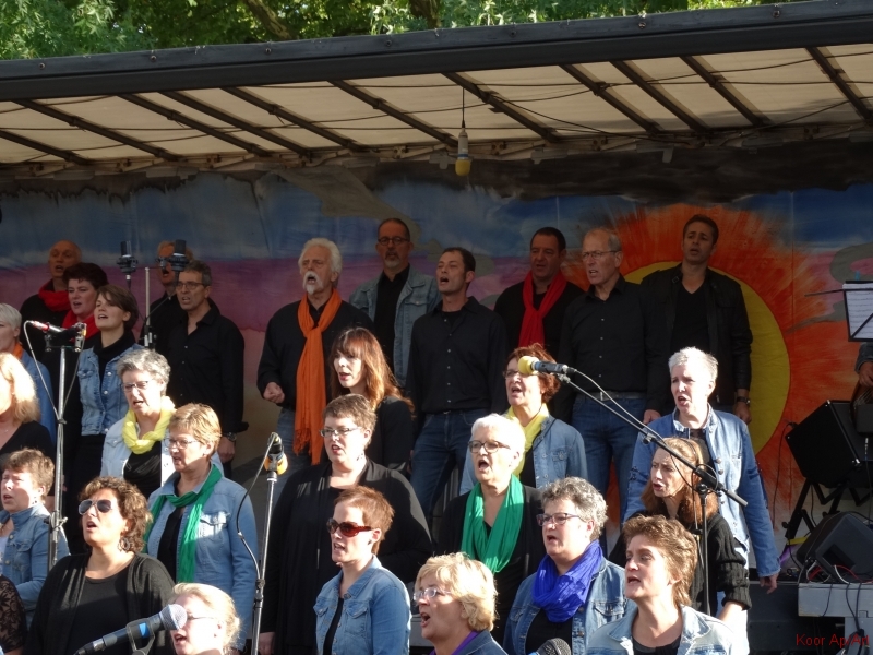 concert september 2015 (61)