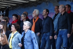 concert september 2015 (24)