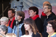 concert september 2015 (39)