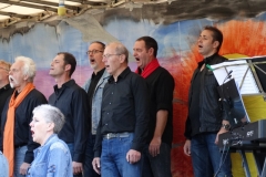concert september 2015 (40)