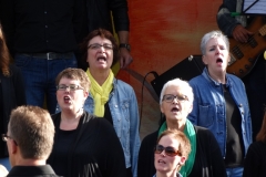 concert september 2015 (50)