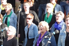 concert september 2015 (60)