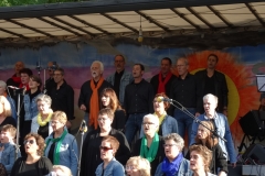concert september 2015 (61)