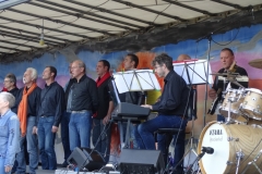 concert september 2015 (8)