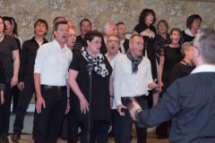 IMG_0886-Large