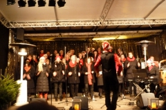auftritt Moyland 2015 022